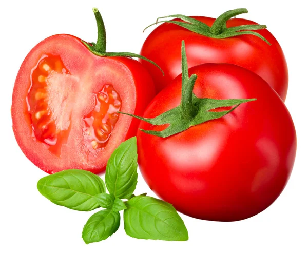 Fresh Tomato Slice Basil Leaf Isolated White Background Full Depth — Stock Photo, Image