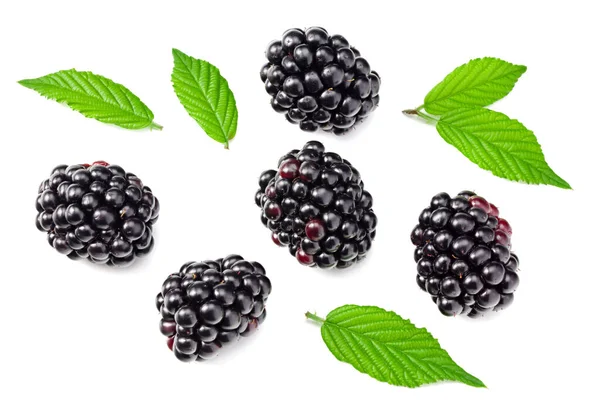 Blackberries Leaves Isolated White Background Top View Flat Lay — Stock Photo, Image