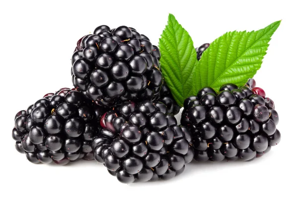 Blackberries Leaves Isolated White Background Full Depth Field — Stock Photo, Image