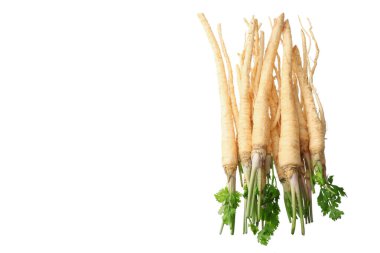 Beyaz arka planda izole edilmiş taze maydanoz kökü. en üstteki görünüm