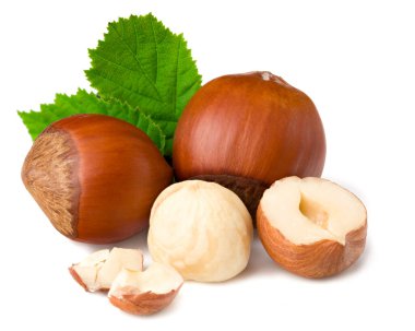 Yeşil yapraklı fındıklar beyaz arka plan makrosu üzerinde izole edilmiş. tam alan derinliği