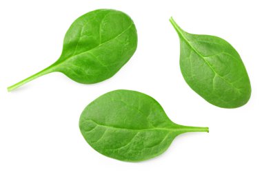 Ispanak yaprakları beyaz arka planda izole edilir. Sağlıklı yiyecekler. Üst görünüm.