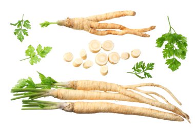 Beyaz arka planda izole edilmiş taze maydanoz kökü. en üstteki görünüm