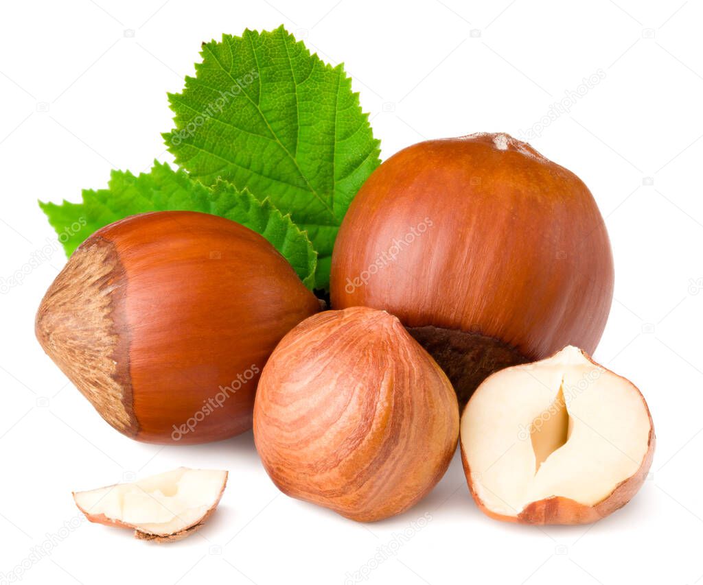 hazelnuts with green leaf isolated on white background macro. full depth of field