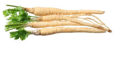 Beyaz arka planda izole edilmiş taze maydanoz kökü. en üstteki görünüm