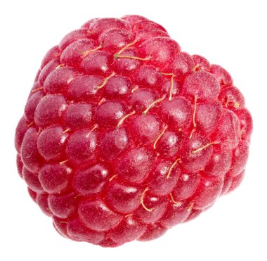 Beyaz arka planda izole edilmiş bir ahududu. Makro. tam alan derinliği