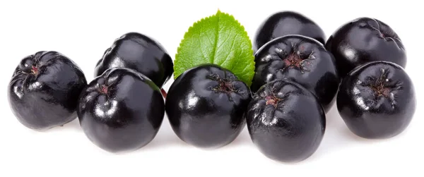 Chokeberry Con Hojas Verdes Aisladas Sobre Fondo Blanco Aronia Negra —  Fotos de Stock