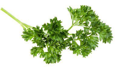 Beyaz arka planda yeşil taze maydanoz yaprakları. Üst Manzara. düz yat