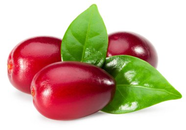 Beyaz arka planda yeşil yapraklı kızılcık üzümü. Kesme yolu. tam alan derinliği