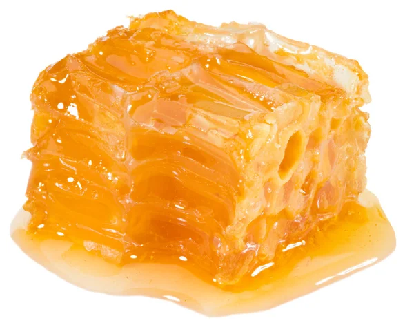 Honingraat Geïsoleerd Witte Achtergrond Volledige Velddiepte — Stockfoto