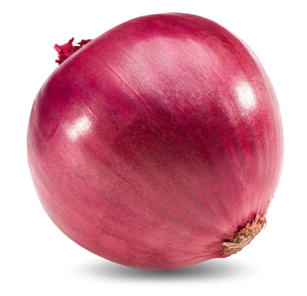 Red Onion Isolated White Background Full Depth Field Clipping Path — Stock Photo, Image