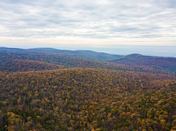 Luchtfoto Van Michaux State Forest Pennsylvania Herfst Bergen — Stockfoto