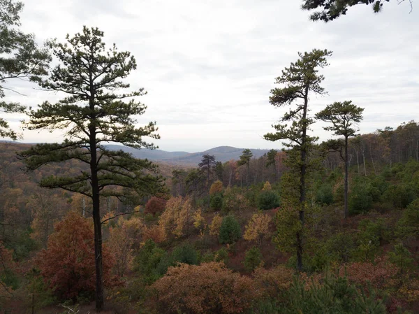 Luchtfoto Van Michaux State Forest Pennsylvania Herfst Bergen — Stockfoto