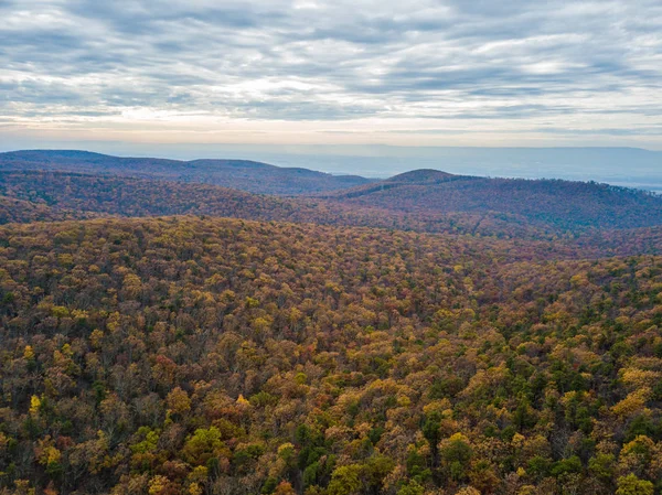 Luchtfoto Van Michaux State Forest Pennsylvania Herfst Bergen — Stockfoto