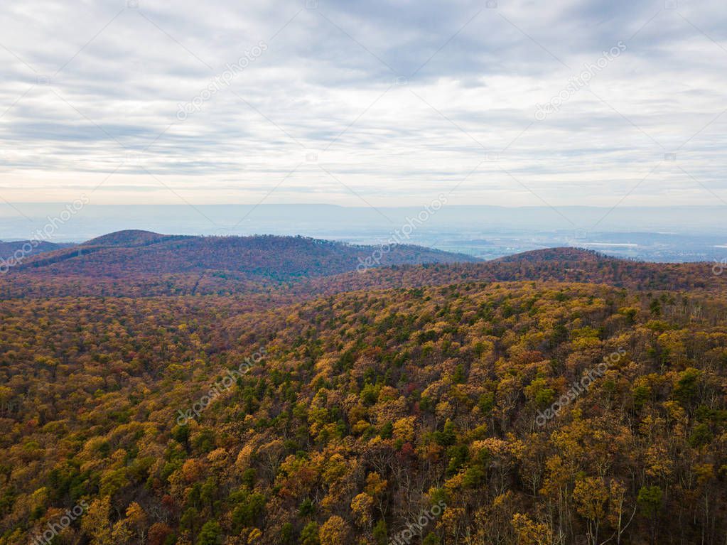 Aerial of Michaux State Forest in Pennsylvania During Fall in the Mountains....