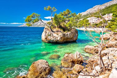 Hırvatistan 'ın Dalmaçya kenti Makarska' nın Brela kentindeki Punta Rata plajındaki Idyllic adası
