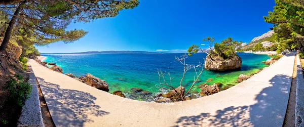 Punta Rata Plajda Brela Panoramik Makarska Riviera Dalmaçya Hırvatistan Pastoral — Stok fotoğraf