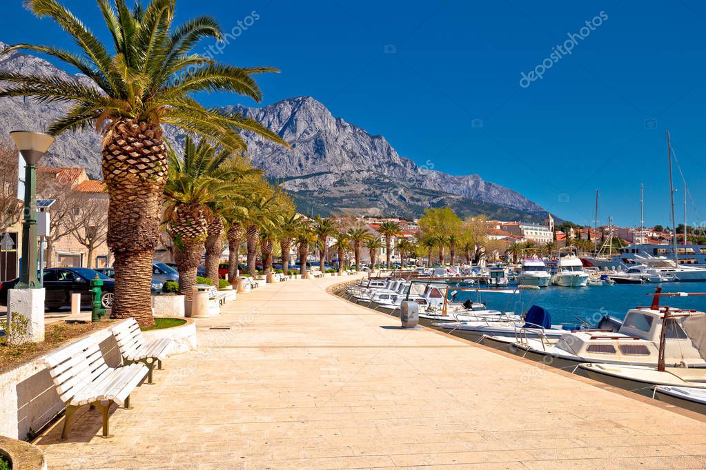 Baska Voda vista de la palmera frente al mar, en Makarska riviera
