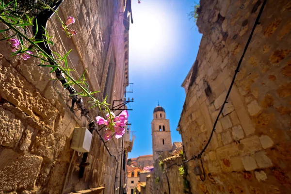 Virág Keskeny Dubrovnik Utcára Néző Horvátország Dalmácia Régió — Stock Fotó