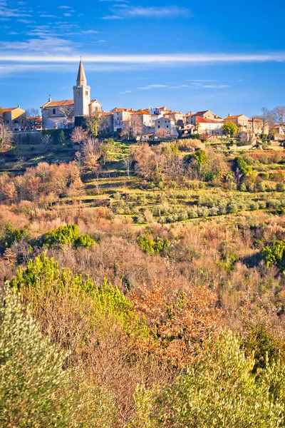 Pastoral hill Groznjan Köyü panoramik, peyzaj ve Mimarlık Istria, Hırvatistan