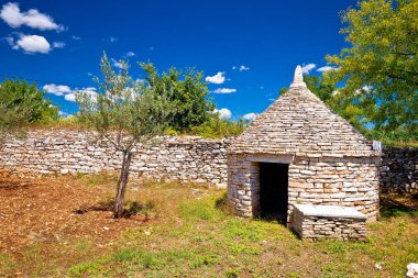 Zeytin ağacı alan ve Istria bölge Hırvatistan Istrian Kazun taş kulübe görünümü
