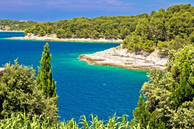 Zlatne Stijene taş beach görünümünde Pula, Hırvatistan'ın Istria bölge