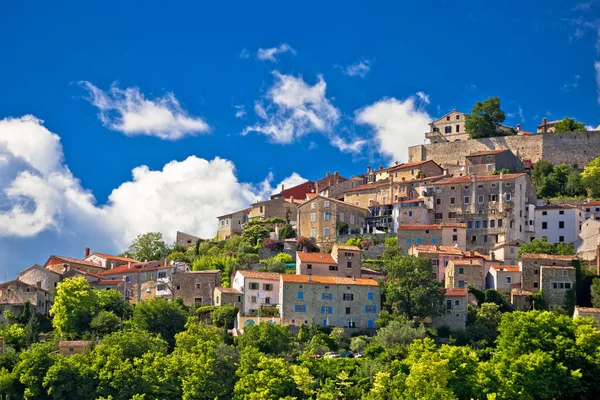 Staden Motovun Pittoreska Kullarna Istrien Region Kroatien — Stockfoto