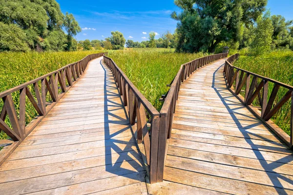 Kopački Rit Bagna Natura Park Drewniane Boardwalk Widok Baranja Region — Zdjęcie stockowe