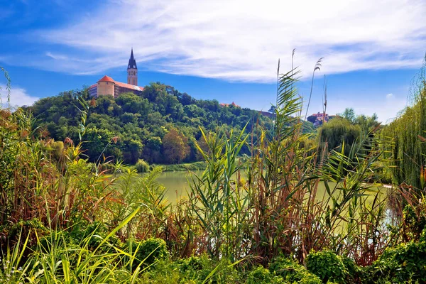 Stadt Ilok Kirche Auf Dem Hügel Über Dem See Slavonija — Stockfoto