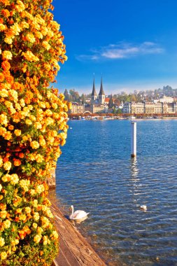 Renkli Luzern Gölü ve kasaba liman manzarası, İsviçre 'nin muhteşem manzaraları.