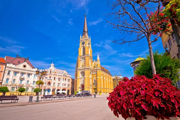 Frihetstorget Och Katolska Katedralen Novi Sad View Regionen Vojvodina Serbien — Stockfoto