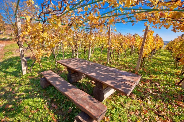 Bench Idyllic Autumn Vineyards Trellis Restplace Colorful Kalnik Mountain Trail — Stock Photo, Image