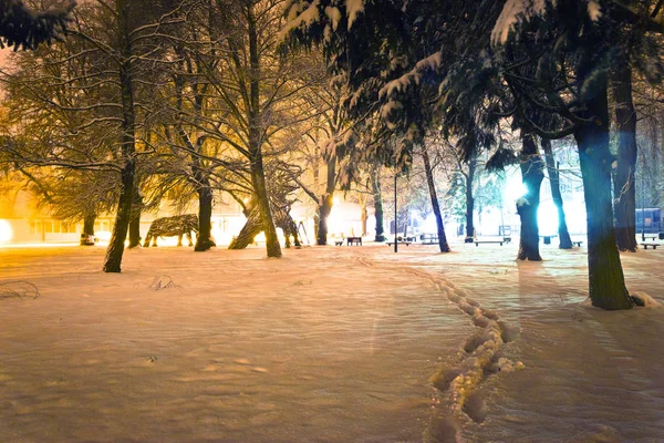 Foot Prints Snow Park Winter View Frozen Cityscapes — Stock Photo, Image