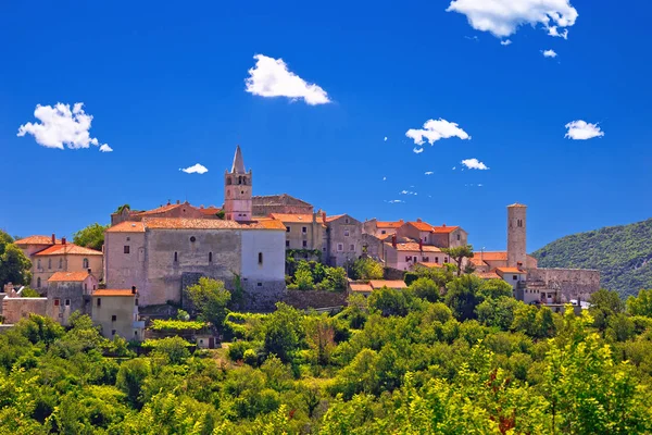 Idílico Pueblo Piedra Istria Plomin Vista Colina Verde Región Istria — Foto de Stock