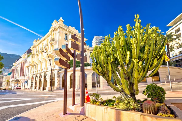 Strasse Von Monte Carlo Natur Und Architektur Blick Fürstentum Monaco — Stockfoto