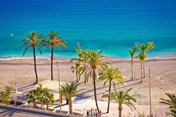 Palm Och Sand Beach Menton Franska Rivieran Cote Azur Frankrike — Stockfoto