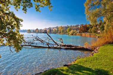 Göl Luzern pastoral sahil şeridi yaz görünümü