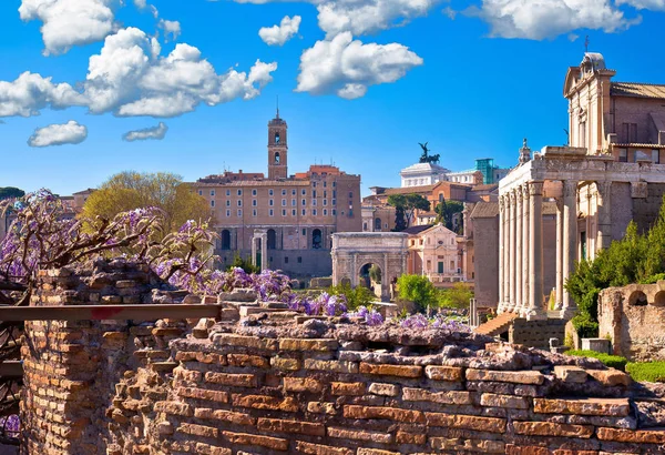 Historiska romerska Forum i Rom natur sköna våren Visa — Stockfoto