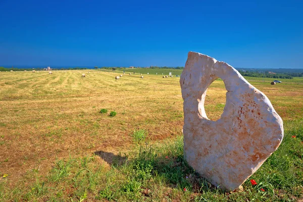 Paesaggio verde dell'Istria e monumento in pietra a Dajla — Foto Stock