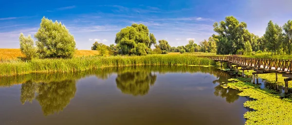 Kopacki Rit pantanos parque natural paseo marítimo de madera vista panorámica — Foto de Stock