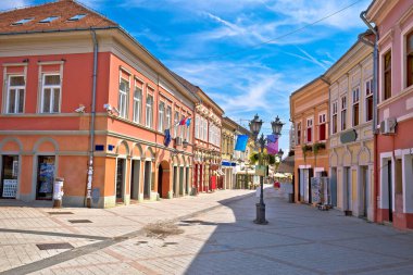 Novi Sad 'ın merkez caddesindeki restoran yaz manzarası