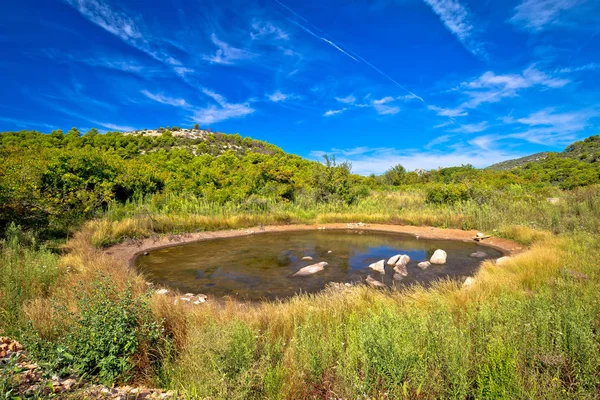 Pustynna oaza wody na wyspie Dugi otok — Zdjęcie stockowe