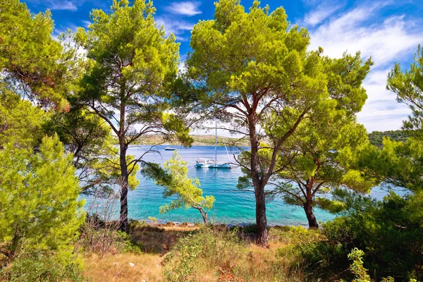 Telascica Bay Nature Park Yachting destination Dugi Otok Isla — Stockfoto