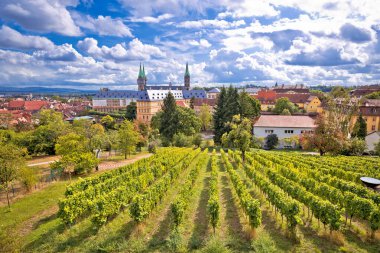 Bamberg. Bamberg manzaralı Michaelsberg üzüm bağlarından Bam 'a