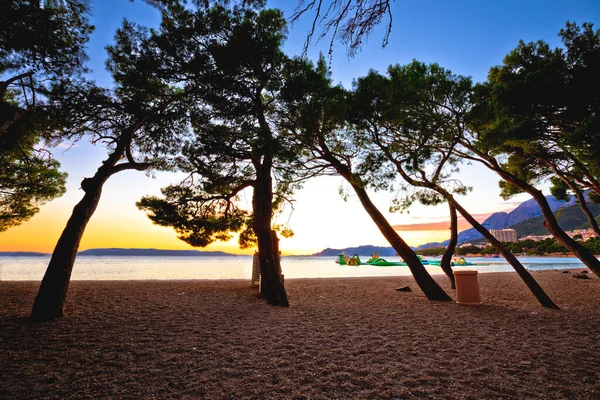 Makarska Kiezelstrand Pijnbomen Uitzicht Zonsondergang Dalmatië Regio Van Kroatië — Stockfoto