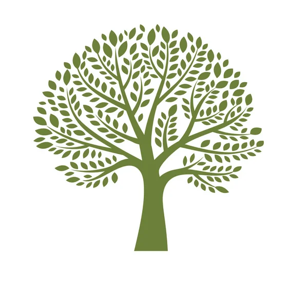 Yeşil ağaç siluet beyaz arka plan, logo tasarım şablonu — Stok Vektör