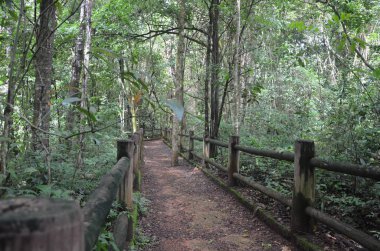 Çevre Koruma Alanı - Ulusal Park - Brasilia - Brezilya