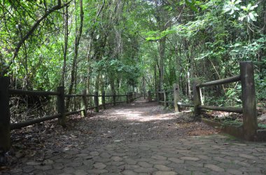 Çevre Koruma Alanı - Ulusal Park - Brasilia - Brezilya