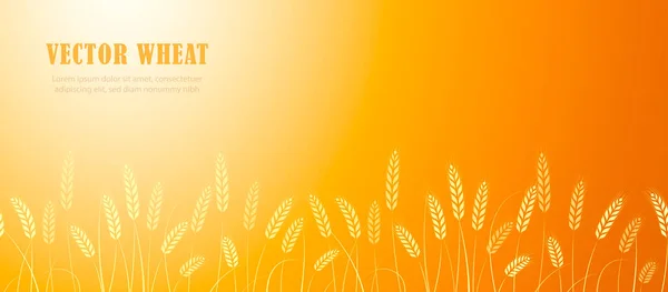 Ears of wheat in field horizontal border — Stock Vector