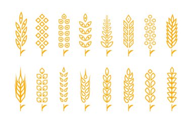 Buğday kulaklı nesne ve tasarım elementleri